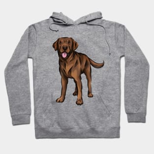 Cute Chocolate Labrador Dog Hoodie